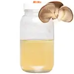 Mason-jar-Common-mushroom-oyster-mushroom-liquid-culture-isolate-white-background-150X150-compressed-webp