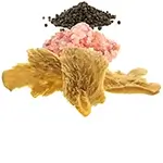 art-layout-salt-pepper-mushroom-chip-fried-snack-healthy-150X150-isolate-white-background-close-up-compressed-webp