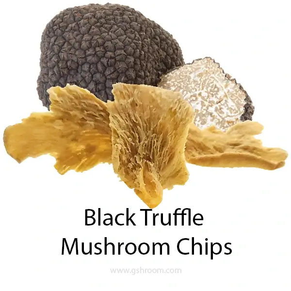 black-truffle-mushroom-chips-crisps-isolate-white-background-fried-close-up-compressed-600X600-webp