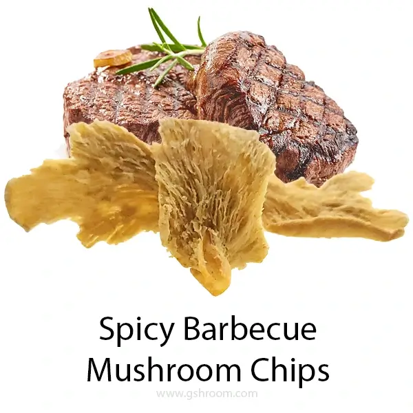 carne-asada-steak-mushroom-chip-healthy-fried-mushroom-isolate-white-background-close-up-600X600-webp