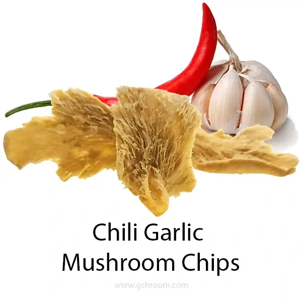 fresh-garlic-chili-mushroom-chip-healthy-fried-mushroom-snack-isolate-white-background-close-up-600X600-webp