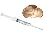 hypodermic-needle-oyster-mushroom-spore-grow-fungi-150X150-isolate-white-background-compressed-webp-close-up