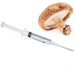 hypodermic-needle-shiitake-spore-growing-at-home-fungi-150X150-isolate-white-background-compressed-webp-close-up