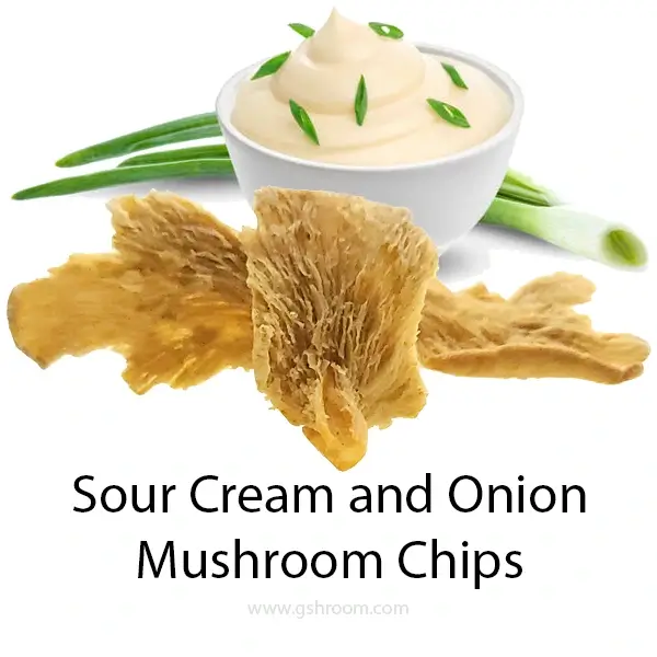 paste-sour-cream-onion-fried-mushroom-chips-healthy-snack-isolate-white-background-600X600