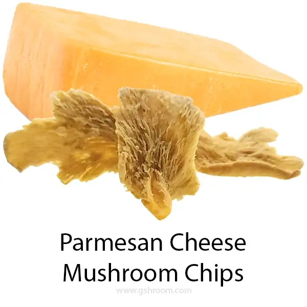 processed-cheese-fried-mushroom-chips-healthy-snack-600X600-isolate-white-background-close-up-webp