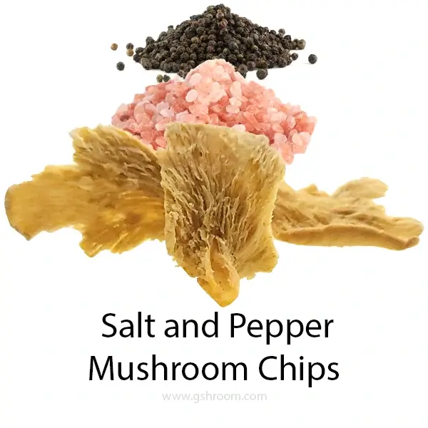 tremellaceae-fungus-like-salt-pepper-mushroom-chip-fried-snack-healthy-600X600-isolate-white-background-close-up-compressed-webp