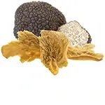 tuber-aestivum-black-truffle-mushroom-chips-isolate-white-background-fried-close-up-compressed-150X150-webp