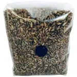 Bird-food-sterilized-rye-berry-grain-spawn-mushroom-cultivation-injection-port-150X150-compressed-isolate-white-background-closeup