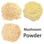 dot-fungi-powder-collection-lions-mane-shiitake-isolate-white-background-isolate-compressed-webp-150X150