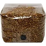 wheat-berry-mushroom-grain-spawn-grow-bags-self-healing-injection-port-150X150-closeup-isolate-white-background-compressed