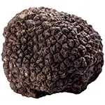 black-truffle-mushroom-dried-tuber-melanosporum-closeup-isolate-white-background-compressed-webp-150X150