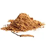 ground-cinnamon-like-cordyceps-sinensis-powder-made-with-caterpillar-fungus-isolate-close-up-white-background-150X150-webp