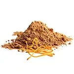 mixture-cordeceps-militaris-mushroom-powder-isolate-white-background-closeup-compressed-webp-150X150