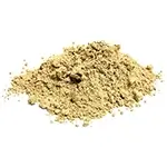 seasoning-maitake-powder-made-from-mushroom-isolate-white-background-closeup-150X150-compressed-web[