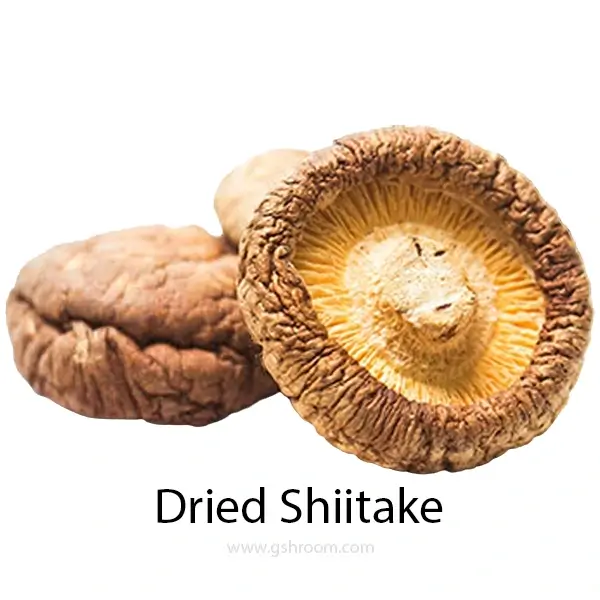 Dried-Shiitake-mushrooms-or-Shiitake-or-dried-Shiitake-mushroom-or-dried-shiitake-or-Shitake-or-Shiitake-mushroom-or-lentinula-edodes-or-lentinus edodes
