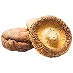 dried-shiitake-or-jamir-shitake-dry-or-shi-take-or-lentinula-edodes-or-lentinus-edodes-or-shiitake-mushroom-whole-preserved
