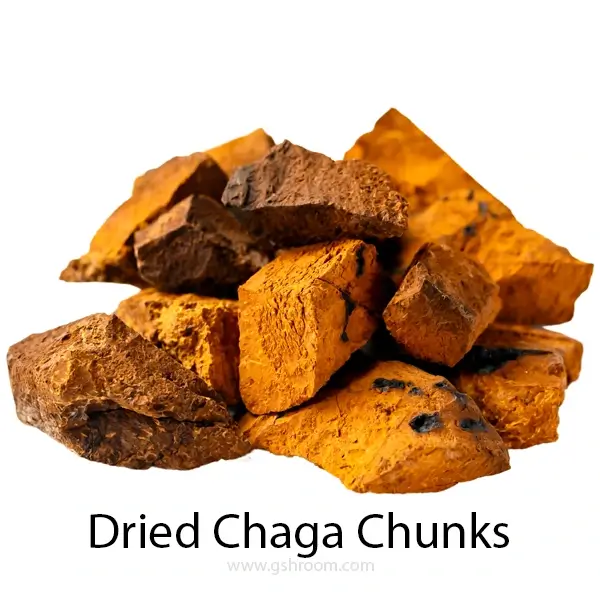 dry-Chaga-chunks-or-Chaga-bits-or-chaga-tea-or-chopped-chaga-inonotus-obliquus-or-Chaga-mushroom-or-pieces-Inonotus-obliquus-or-I.obliquus