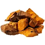fresh-Chaga-chunks-or-Chaga-bits-or-chaga-tea-or-chopped-chaga-inonotus-obliquus-or-Chaga-mushroom-or-pieces-Inonotus-obliquus-or-I.obliquus