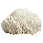 soft-Lions-Mane-Mushroom-or-Hericium-erinaceus-or-hericium-or-lionsmane-or-lions-head-mushroom-or-lion-mushroom-or-hericium-mushroom-or-lion's-mane-fungus