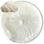 50-pieces-disposable-food-cover-Lions-Mane-Mushroom-petri-dish-or-agar-plate-mycelium-grow-mycology