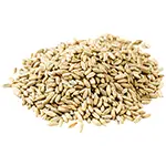 Sattvic-Foods-Hulled-Oat-Groats-like-Rye-Berry-or-rye-seed-to-cook-grow-mushroom-spawn-thumbnail