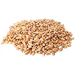 hulled-barley-seeds-500g-Wheat-whole-godhumai-organic-or-wheat-Berry-mushroom-grain-spawn-material-for-cultivation-thumbnail