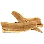 ripe-banana-lingzhi-slices-or-sliced-red-Reishi-or-dry-slices-of-Ganoderma-or-Ganoderma-lucidum-or-Reishi-or-Ganoderma-Reishi